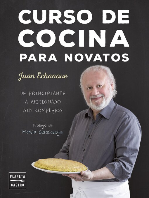 Title details for Curso de cocina para novatos by Juan Echanove Labanda - Available